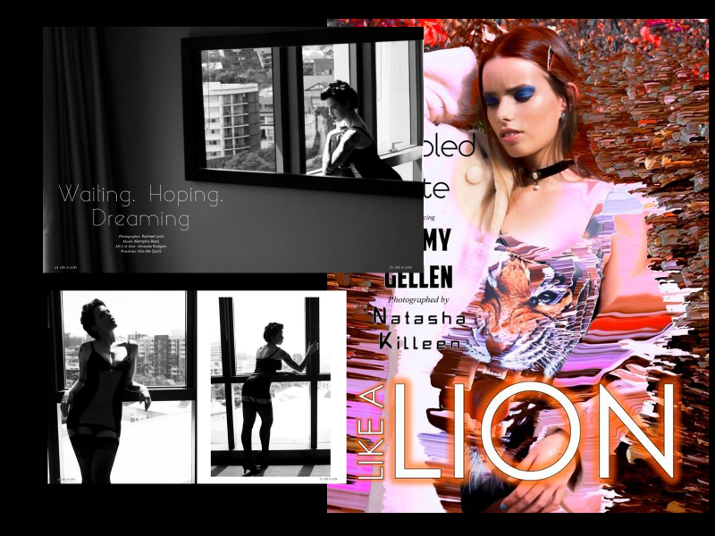 LIKE-A-LION Published work by Amanda from Killer Looks